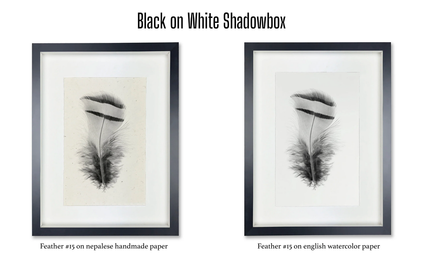 Shadowbox Framing | Framing by Barloga Studios