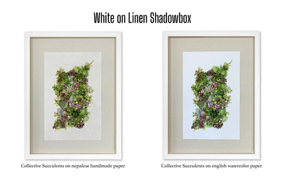 Shadowbox Framing | Framing by Barloga Studios