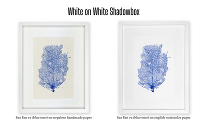 Shadowbox Framing | Framing by Barloga Studios