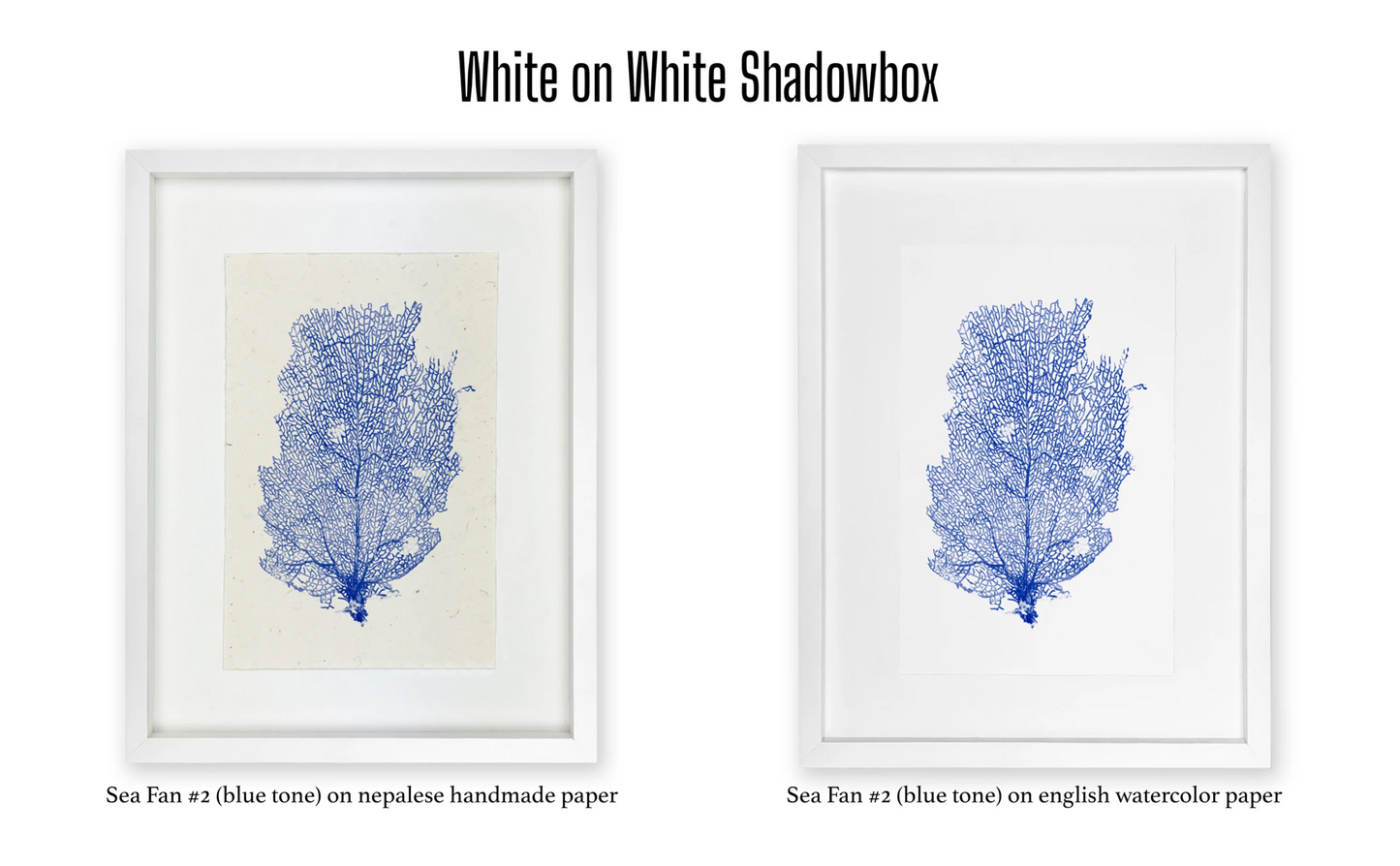 Shadowbox Framing | Framing by Barloga Studios