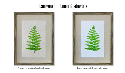 Shadowbox Framing | Framing by Barloga Studios