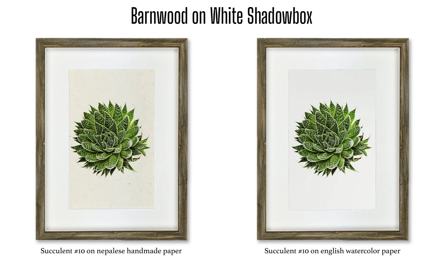 Shadowbox Framing | Framing by Barloga Studios