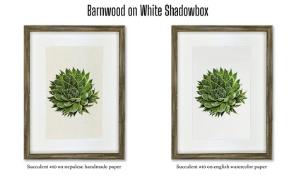 Shadowbox Framing | Framing by Barloga Studios