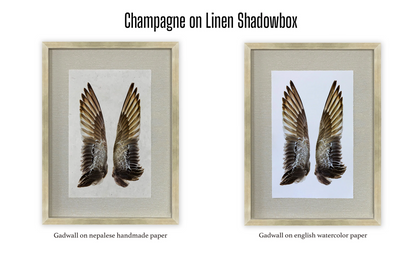 Shadowbox Framing | Framing by Barloga Studios