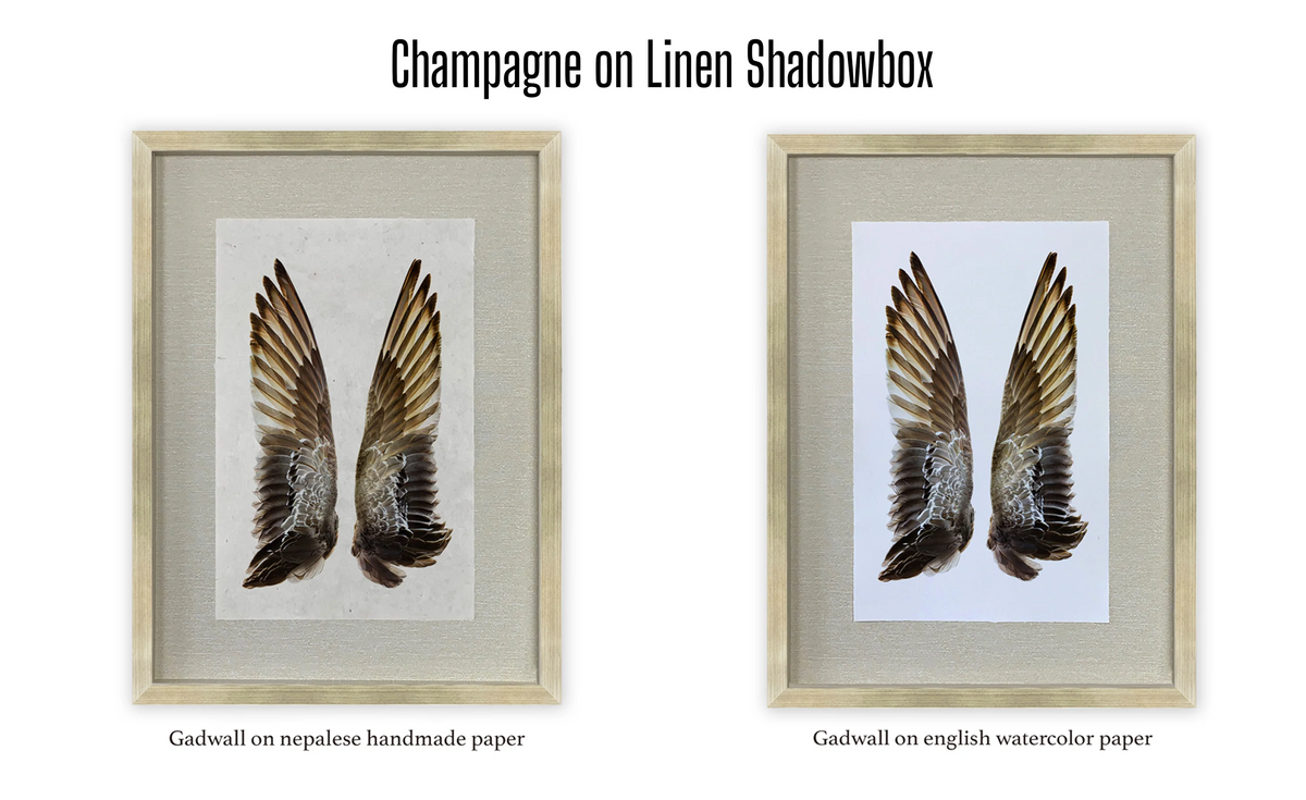 Shadowbox Framing | Framing by Barloga Studios