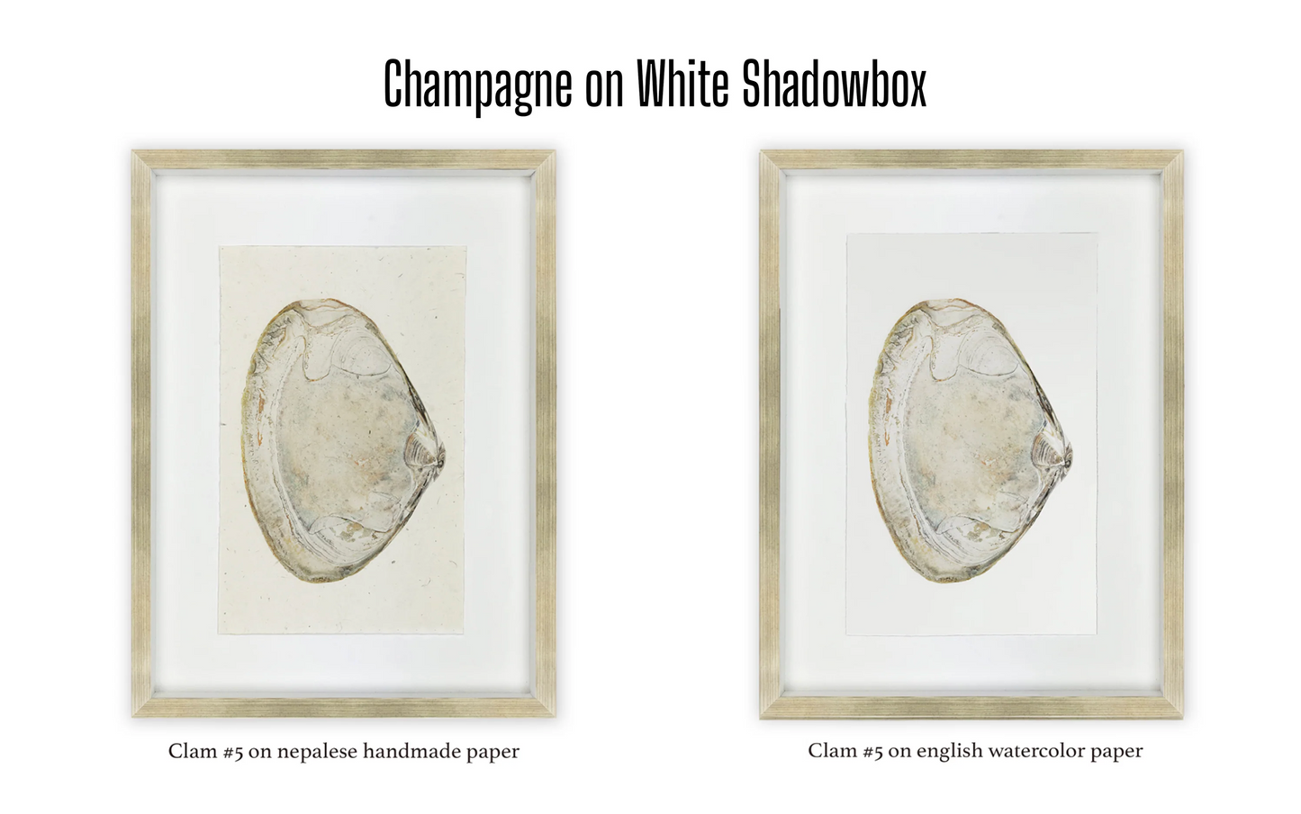 Shadowbox Framing | Framing by Barloga Studios