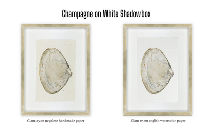 Shadowbox Framing | Framing by Barloga Studios