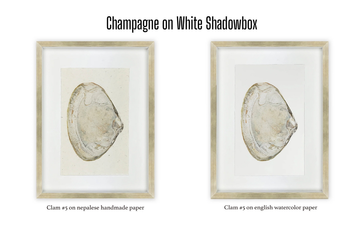 Shadowbox Framing | Framing by Barloga Studios