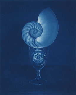 Nautilus Shell in a Pressed Glass Goblet, Framedby David Sokosh