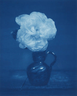 Rose in Blue Glass Vase, Framedby David Sokosh
