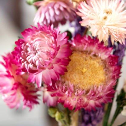 MINI Strawflower & Larkspur Bouquet Bundle #219