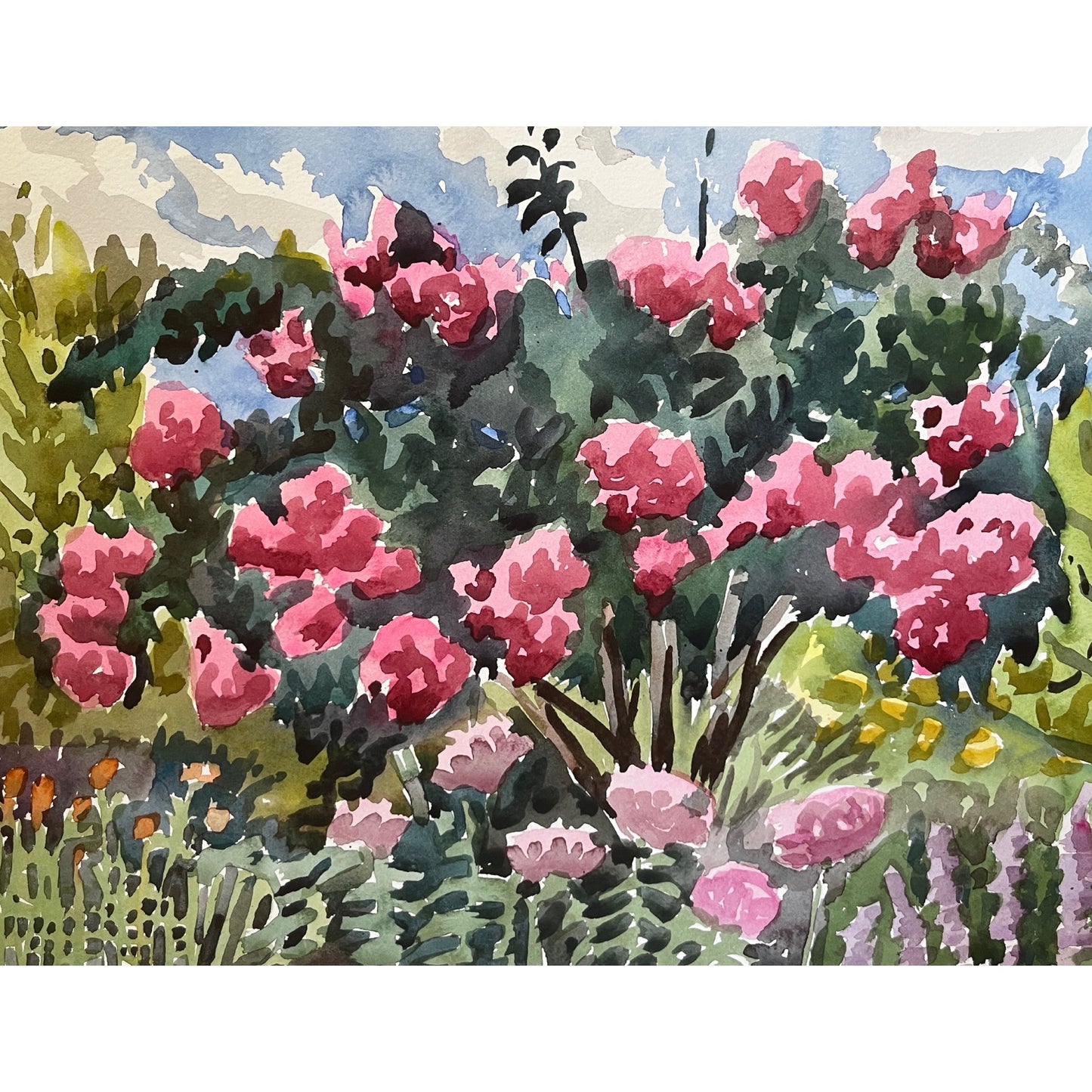 Central Park Conservatory  Susan Greenstein