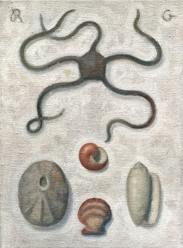 Brittle Star by Robert Goldstrom