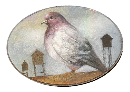 "Carroll" Pigeon