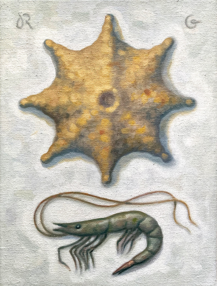 Cushion Star by Robert Goldstrom