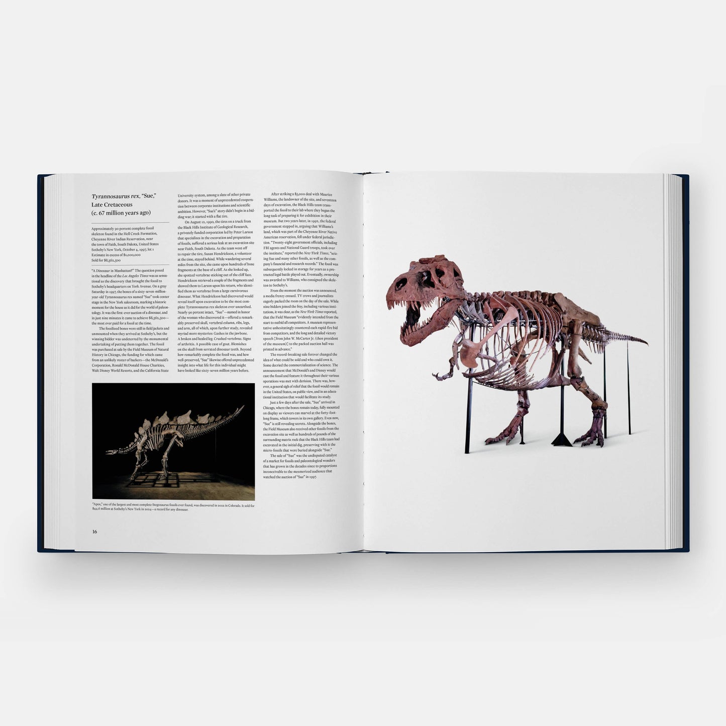 Icons: 100 Extraordinary Objects from Sotheby's History