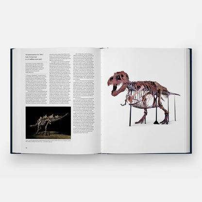 Icons: 100 Extraordinary Objects from Sotheby's History