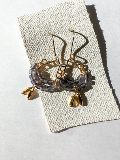 DEBBIE FISHER | Earrings of Iolite and Gold Vermeil Beads