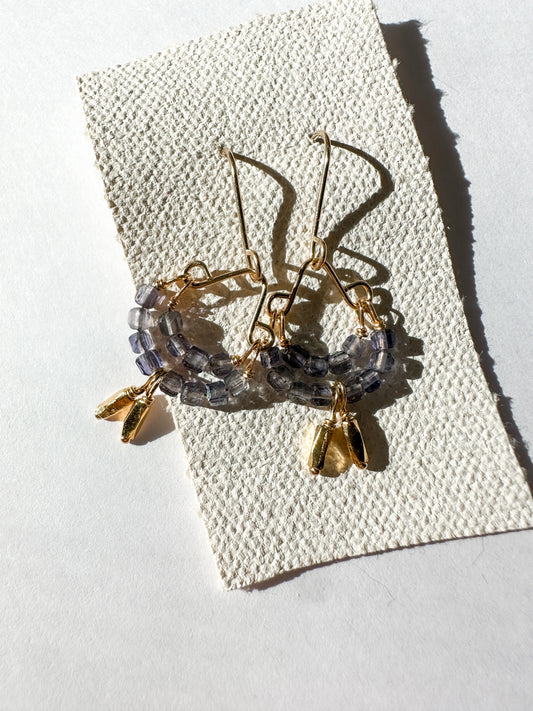 DEBBIE FISHER | Earrings of Iolite and Gold Vermeil Beads