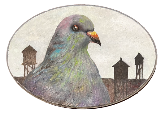 "Denton" Pigeon