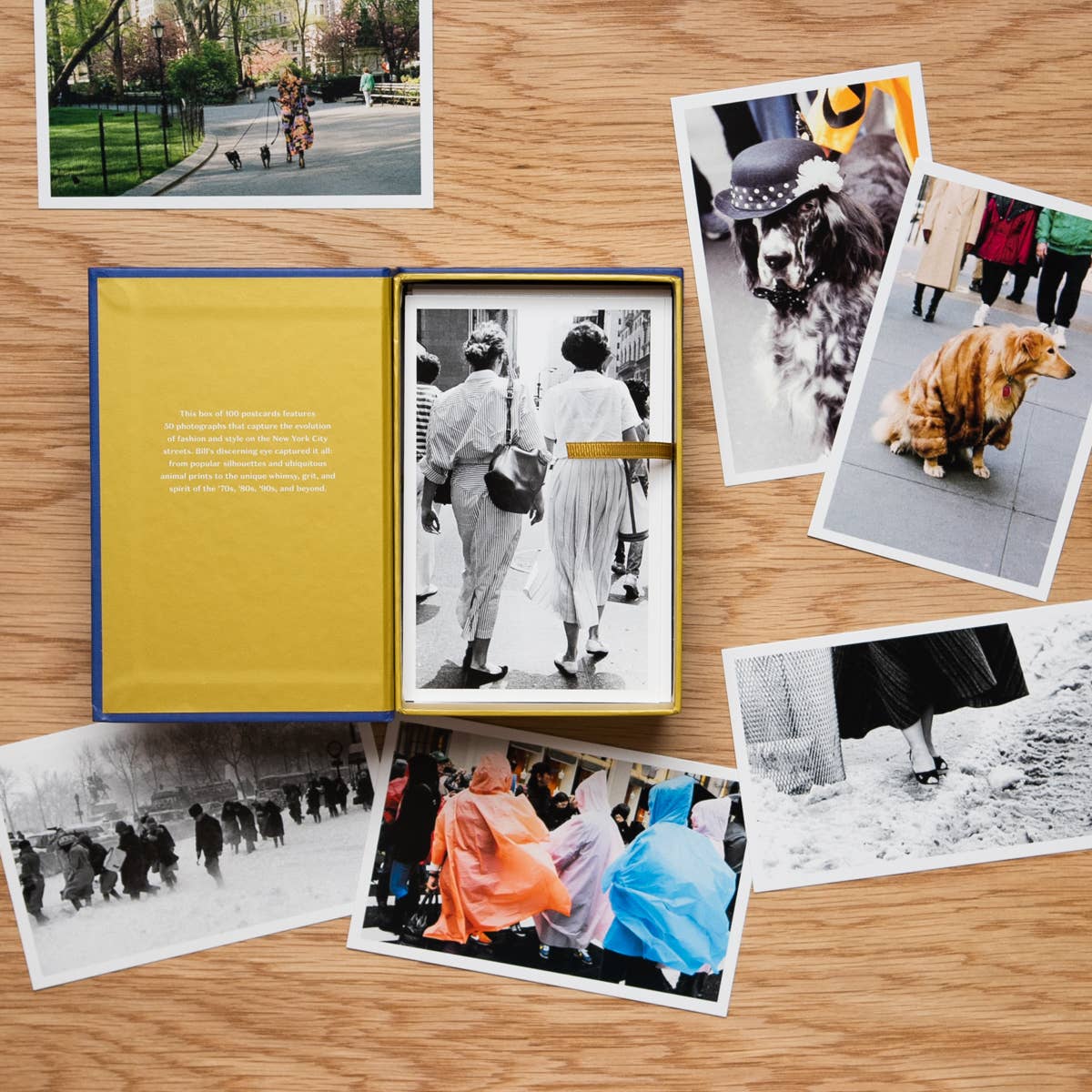 Bill Cunningham Postcards