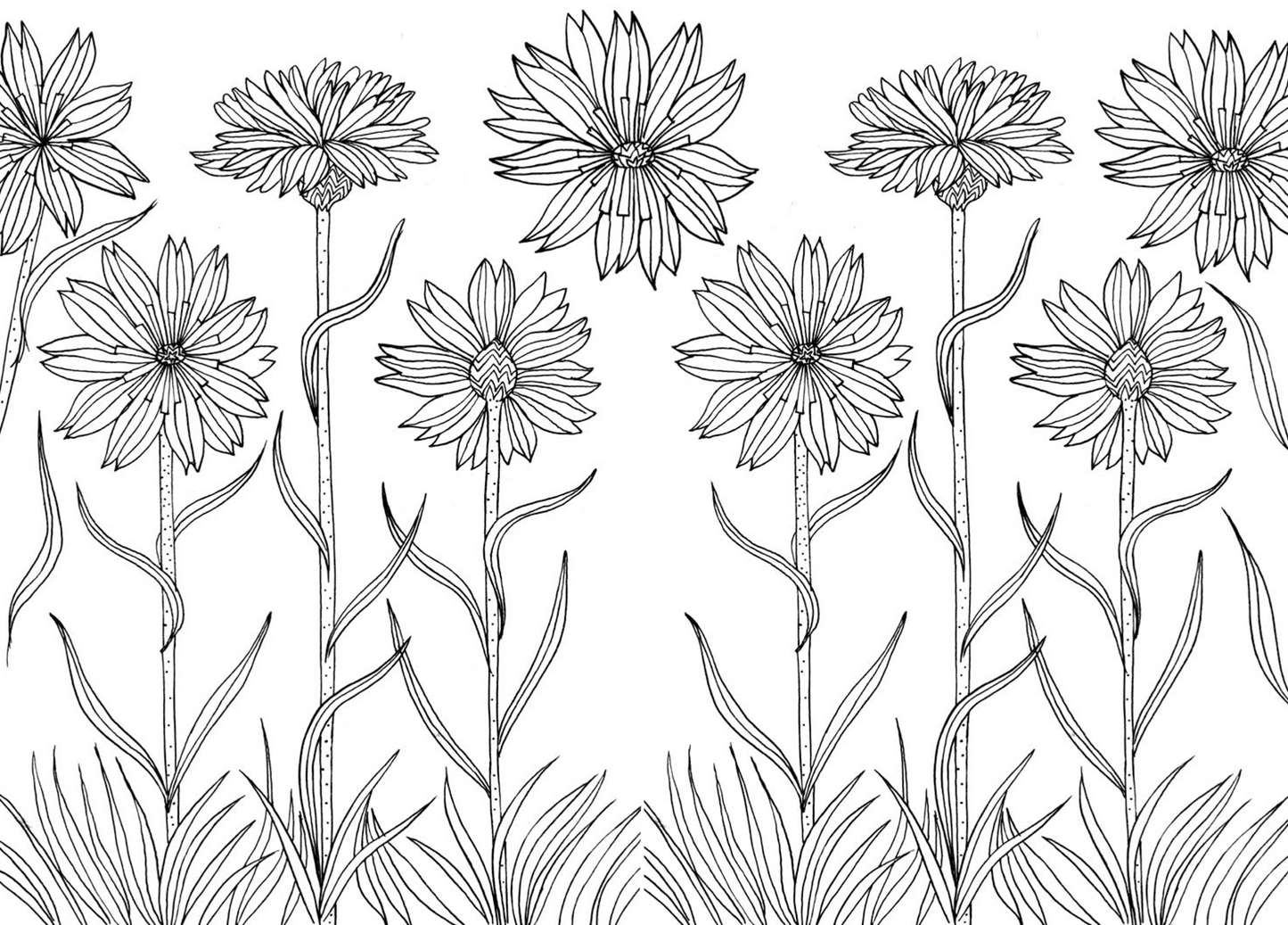 The Mindfulness Coloring Book, Volume Two: Paperback