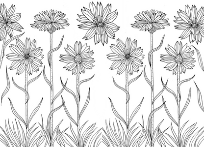 The Mindfulness Coloring Book, Volume Two: Paperback