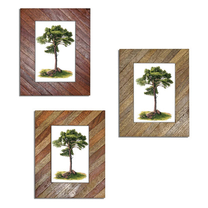 Striped Multi-Wood Photo Frames 9x7