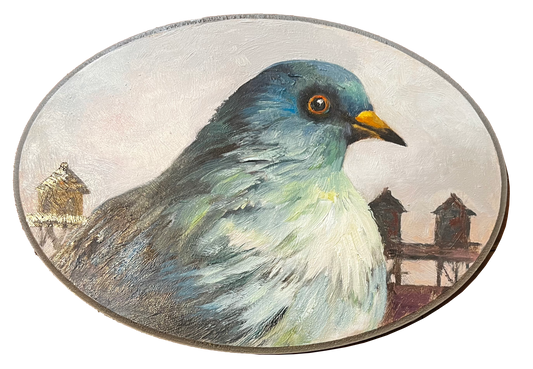 "Garnet" Pigeon