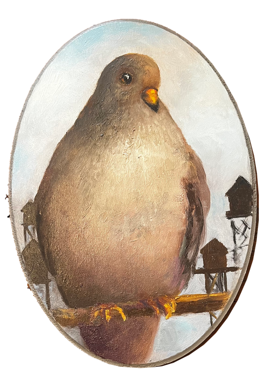"Hunter" Pigeon
