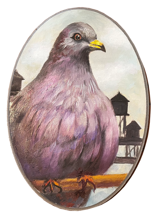 "Noble" Pigeon