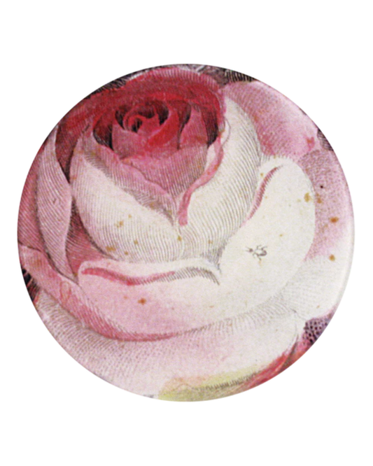 John Derian Company | Rose with Ant 5 1/4" Round Plate