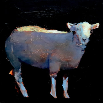 Nicolas Sanchez | Sheep Series #20