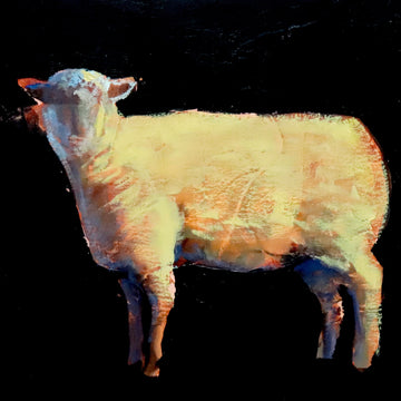 Nicolas Sanchez | Sheep Series #22