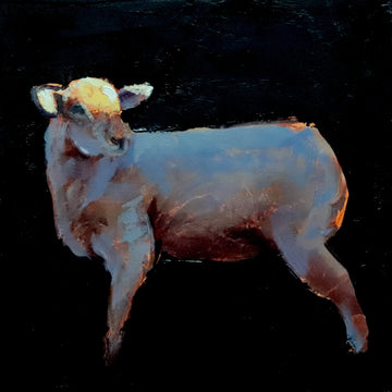 Nicolas Sanchez | Sheep Series #24