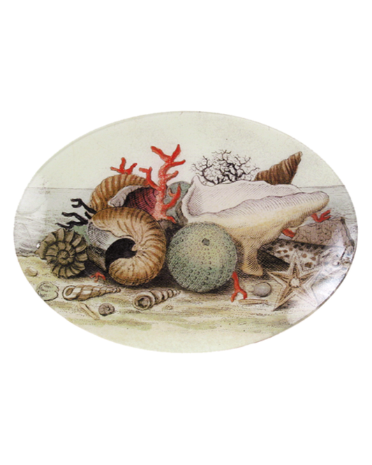 John Derian Company | Shells 7"x10" Oval Plate