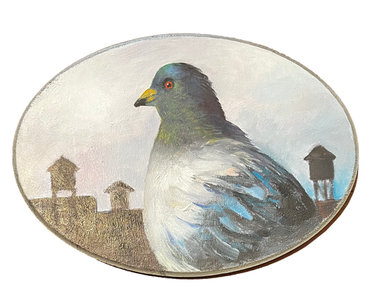 "Stewart" Pigeon