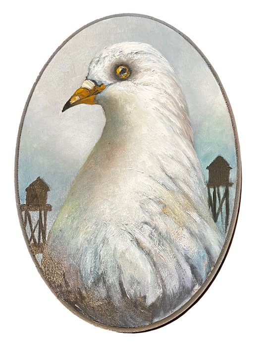 "Tiffany" Pigeon