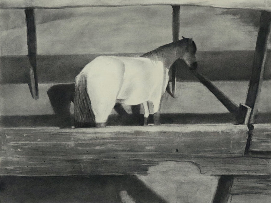 Nicolas V. Sanchez | White Horse with Veil