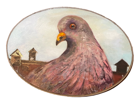 "Woodruff" Pigeon