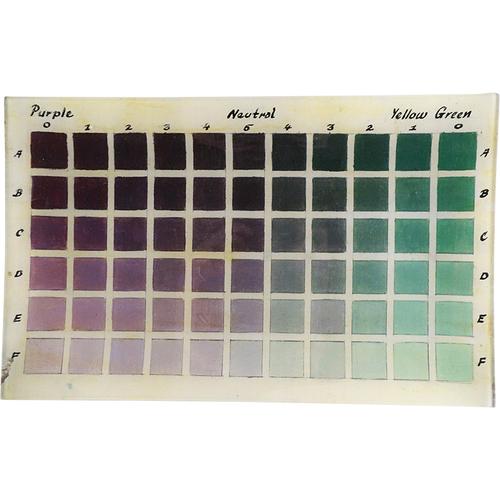 John Derian | Purple - Yellow Green Color Grid 10x16 Tray