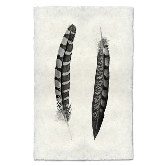 Partridge Wing and Lady Amherst Pheasant Tail