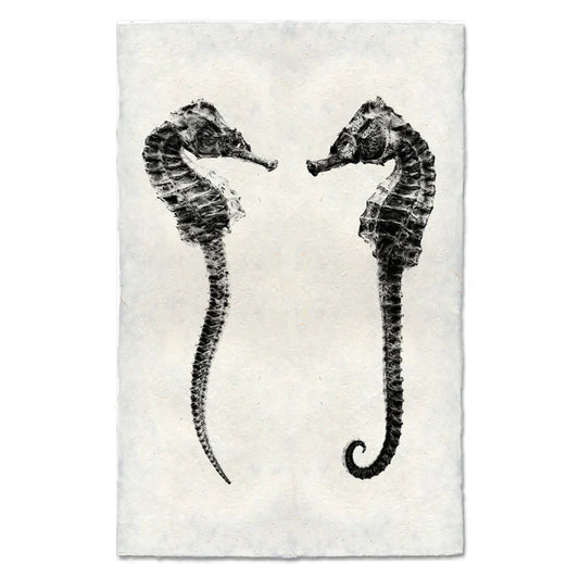 Double Seahorse, B&W
