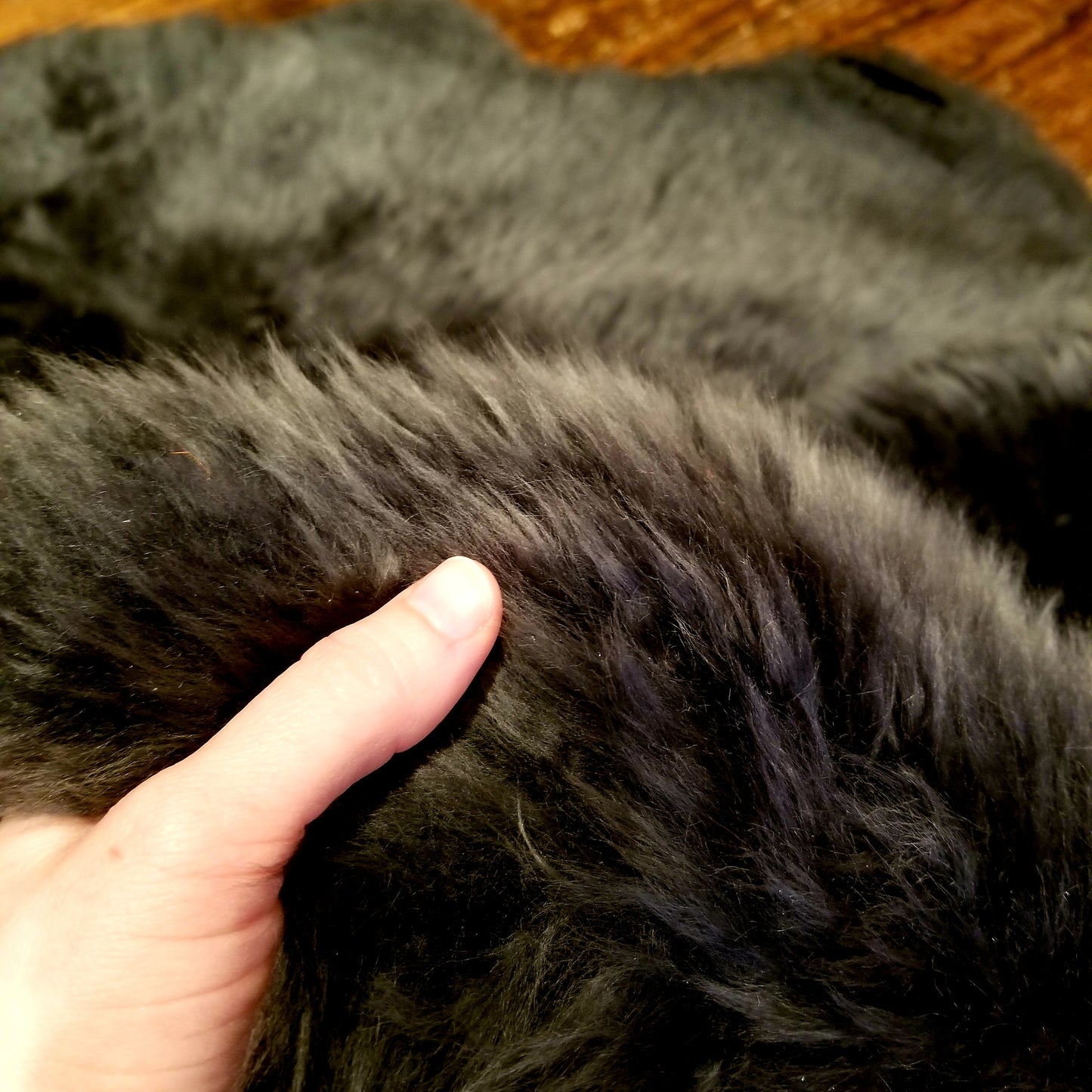 Sheepskin Rug - Quad