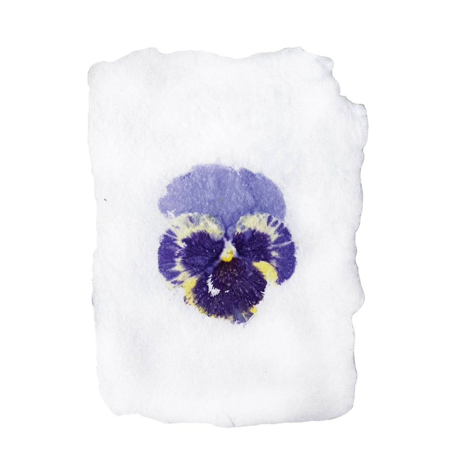 real pansy imprint note card: Single