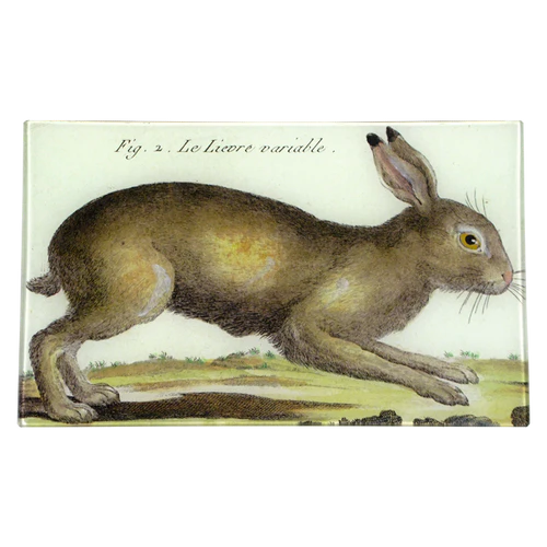 Rabbit (7 x 11.5