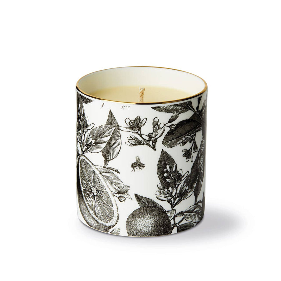 The Orangery Ceramic Luxury Scented Candle