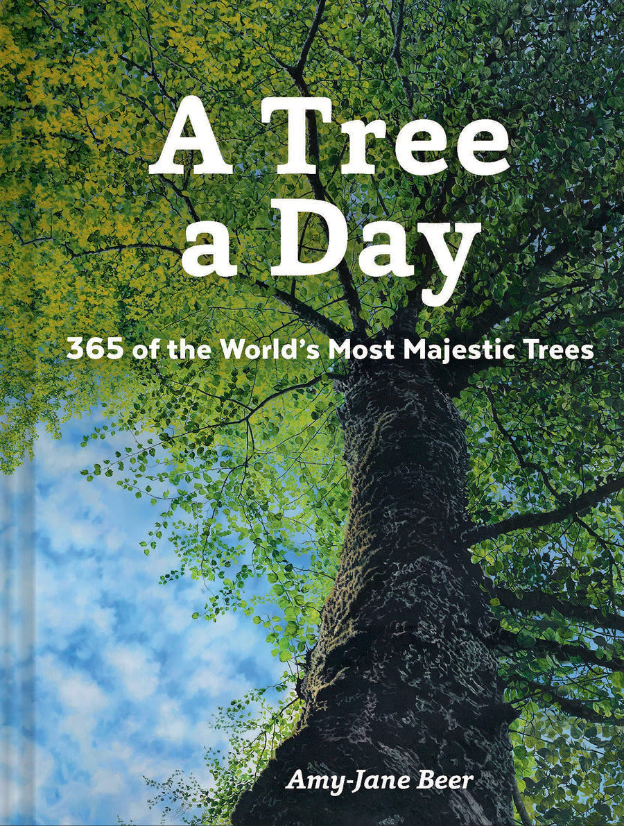 A Tree a day by Amy-Jane Beer