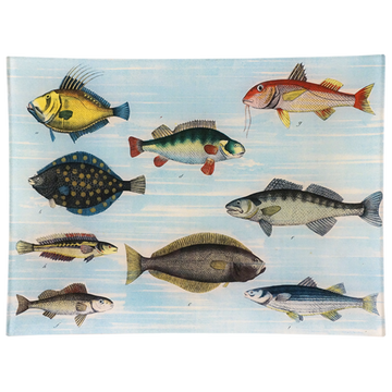 School of Fish 9 x 12