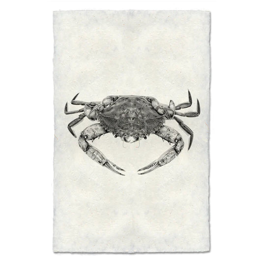 Copy of Blue Crab, B&W